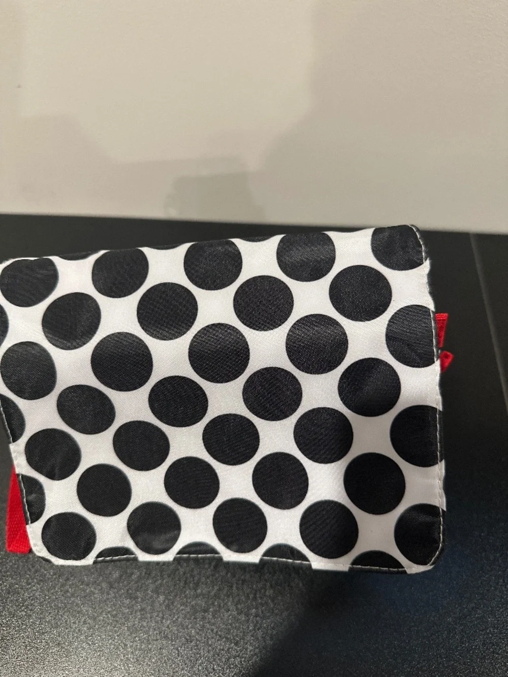 Polka dot with red trim zipper bag